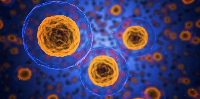 cells, human, medical-1872666.jpg